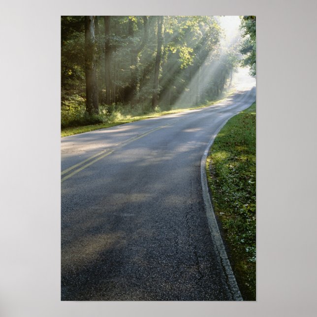 Soluppgång genom dimma bredvid Grönten River Poster (Framsidan)