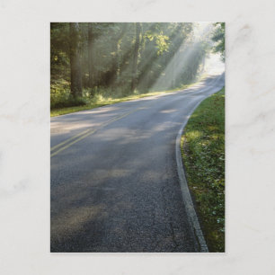 Soluppgång genom dimma bredvid Grönten River Vykort