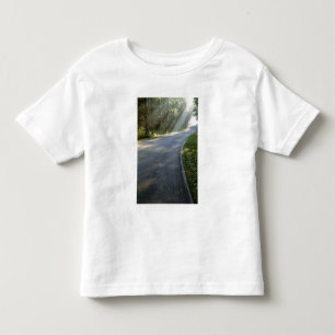 Soluppgång genom dimma längs Green River Tee Shirt