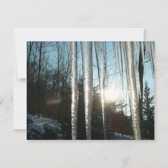 Soluppgång genom Icicles Winter Nature Photogratog (Framsida)