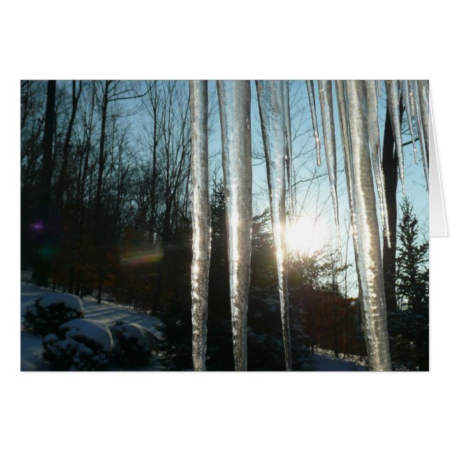 Soluppgång genom Icicles Winter Nature Photogratog Hälsningskort (Framsidan Horizontal)