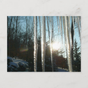 Soluppgång genom Icicles Winter Nature Photogratog Vykort