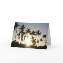 Soluppgång Handflatan Träd