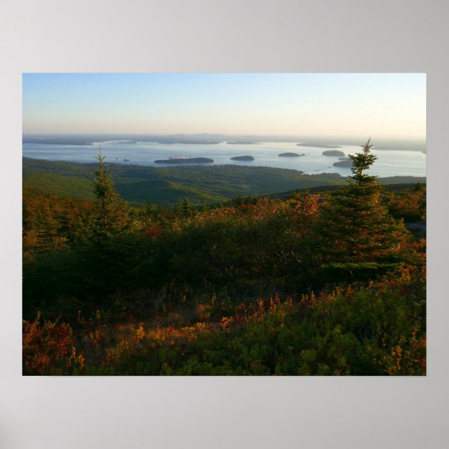 Soluppgång i Cadillac Mountain I Poster (Framsidan)