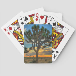 Soluppgång i Joshua Träd nationalpark Casinokort