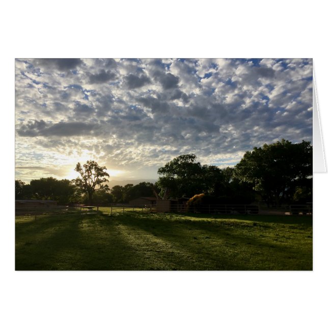 Soluppgång i Norddalen, Albuquerque, NM Hälsningskort (Framsidan Horizontal)