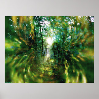 Soluppgång i skogen 2 poster