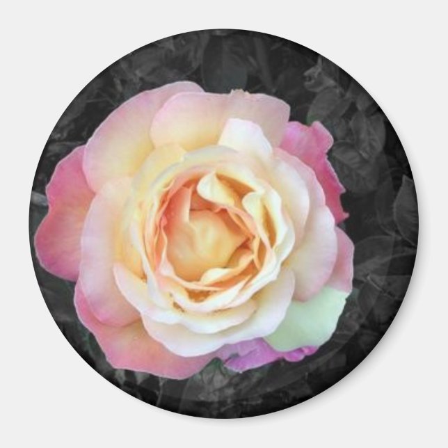 Soluppgång Magnet (Framsidan)