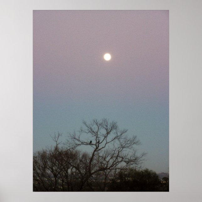 soluppgång måne poster (Framsidan)
