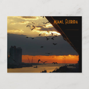 SOLUPPGÅNG...... Miami, Florida Vykort