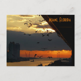 SOLUPPGÅNG...... Miami, Florida Vykort