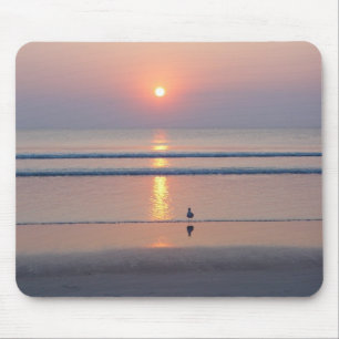 Soluppgång Mousepad för fiskmåsDaytona Beach FL Musmatta