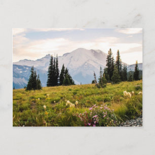Soluppgång Mt. Rainier Gifts Vykort
