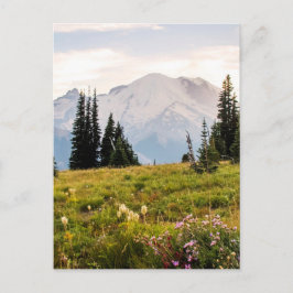 Soluppgång Mt. Rainier Gifts Vykort