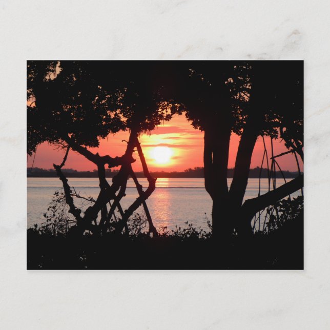 Soluppgång över bukten vykort (Framsida)