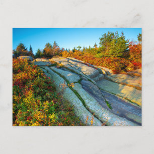 Soluppgång över Cadillac Mountain Vykort