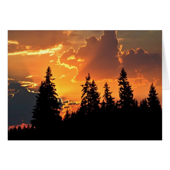 Soluppgång över Douglas Fir Träd Hälsningskort (Framsidan Horizontal)