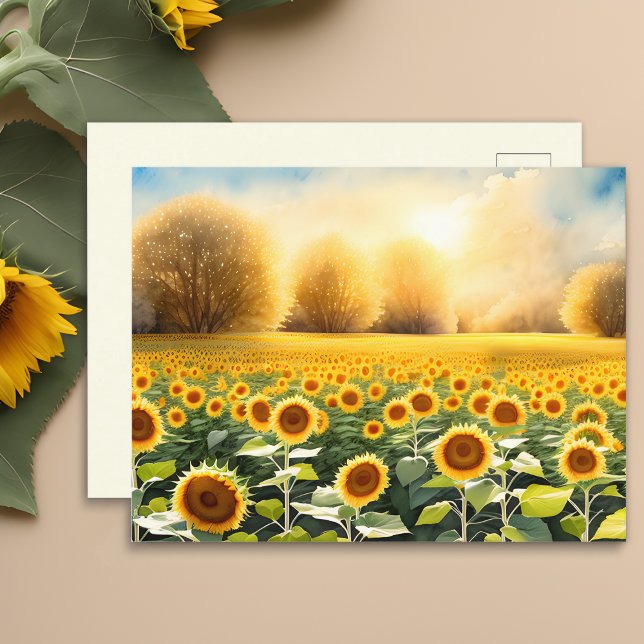 Soluppgång över en solrosfält brevkort vykort (🌻 Artistry at Sunrise: Sunflowers Postcard! 🎨)