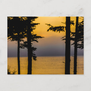 Soluppgång över Gouldsboro Bay, Maine Vykort