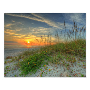 Soluppgång över Sanddyner i Daytona Beach, FL Fototryck