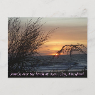 Soluppgång över stranden vid... vykort