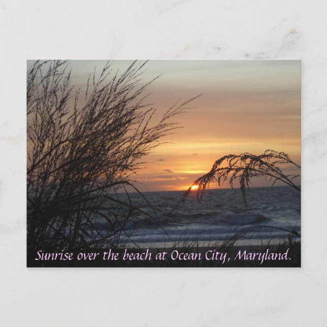 Soluppgång över stranden vid... vykort (Framsida)