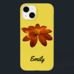 Soluppgång på den mexikanska solrosOrangens Blommi<br><div class="desc">Det finns speciella tider på morgonen och kvällen när ljusstrålarna utspelar sig i naturen. Den här naturscenen visar solljus som knappt belyser en orange blomma som jackades på morgondagg. Blomman verkar komma från familjen Tithonia, mer känt som mexikanska solblommor. Det här fotot visas också som widescreen-tapet "Soluppgång på mexikansk solros"...</div>