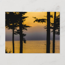 Soluppgång på Gouldsboro Bay, Maine Vykort