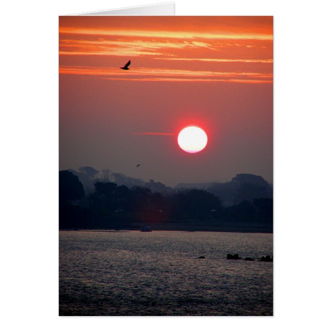 Soluppgång på Guernsey Hälsningskort (Framsidan)