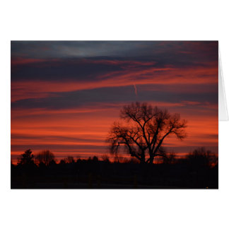 Soluppgång på Harper sjön Hälsningskort