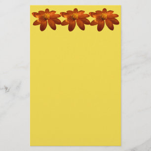 Soluppgång på mexikansk solros orange blomma brevpapper