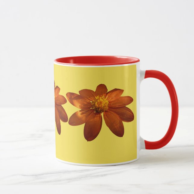 Soluppgång på mexikansk solros orange blomma mugg (Höger)