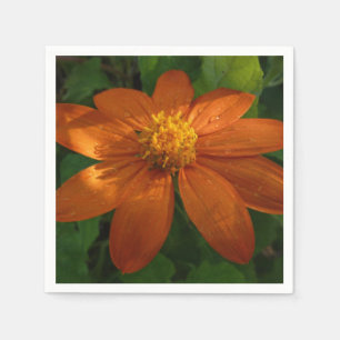 Soluppgång på mexikansk solros orange blomma pappersservett