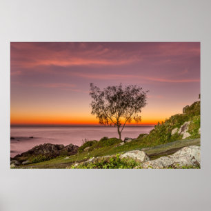 Soluppgång på stranden Armação Poster