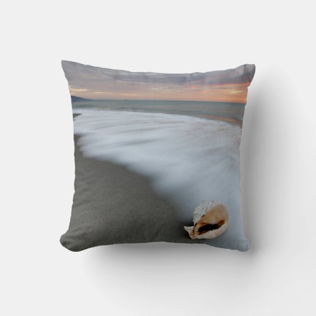 Soluppgång på stranden och en snäcka kudde (Framsida)