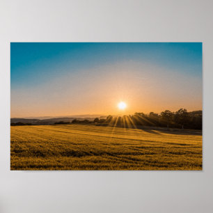 Soluppgång Poster