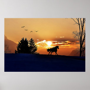 Soluppgång Poster