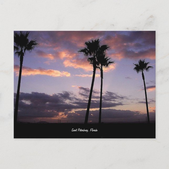Soluppgång, Saint Petersburg, Florida vykort (Framsida)