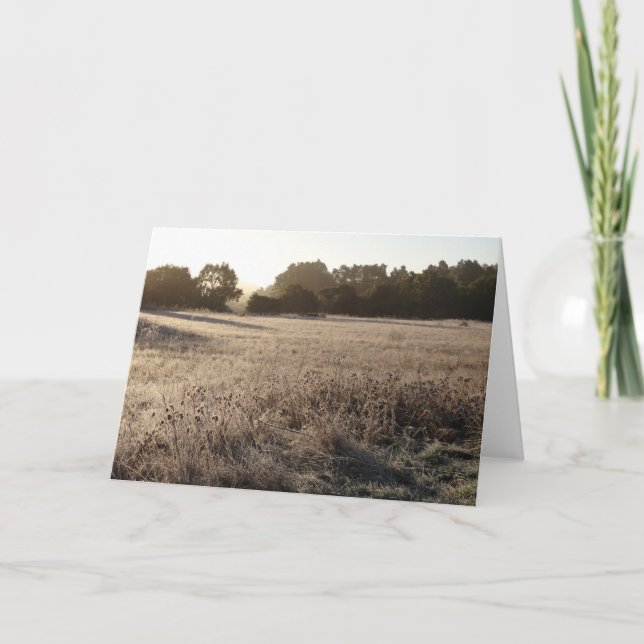 Soluppgång vid Bear Valley Trailhead liggande Kort (Framsida)