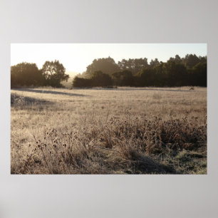 Soluppgång vid Bear Valley Trailhead liggande Poster