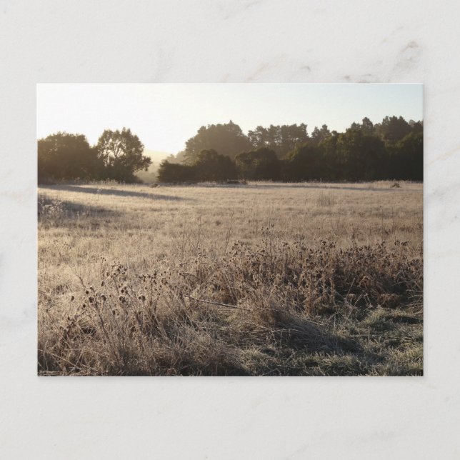 Soluppgång vid Bear Valley Trailhead liggande Vykort (Framsida)