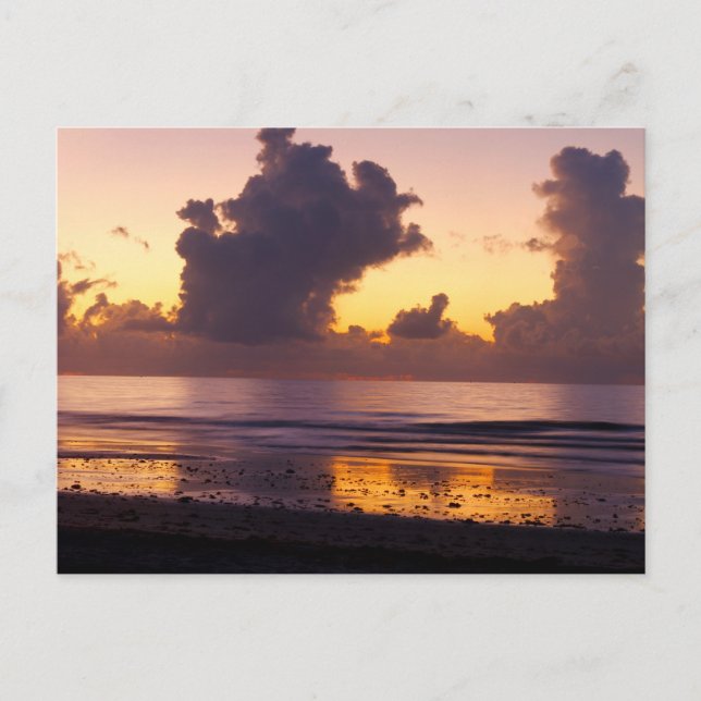 Soluppgång vid Cape Canaveral, Florida Vykort (Framsida)
