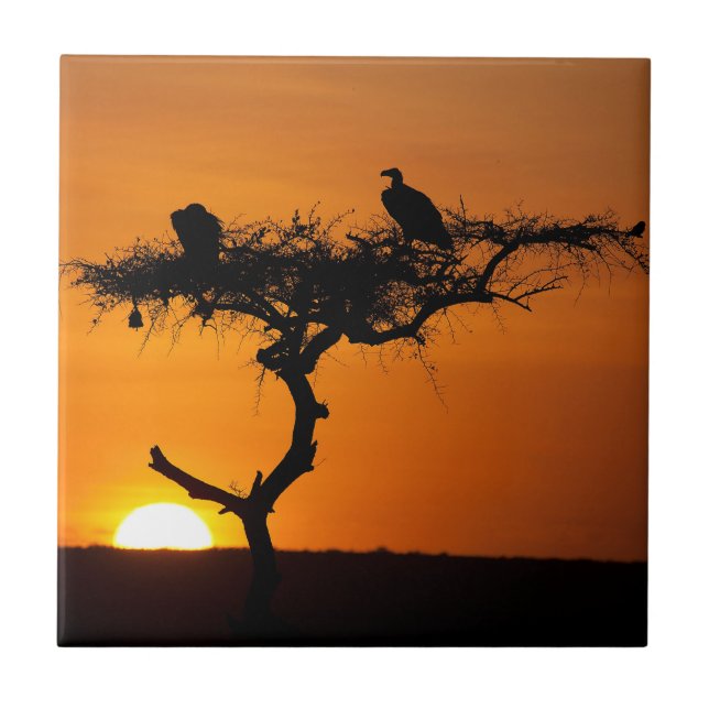 Soluppgång vid Masai Mara, Kenya Kakelplatta (Framsidan)
