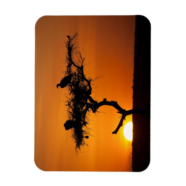 Soluppgång vid Masai Mara, Kenya Magnet (Vertikal)