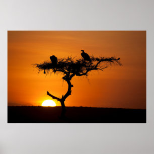 Soluppgång vid Masai Mara, Kenya Poster