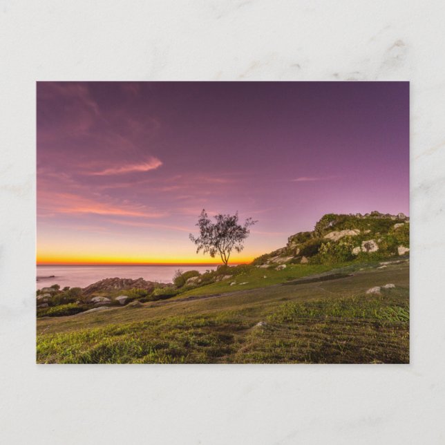 Soluppgång vid stranden i Florianopolis Vykort (Framsida)