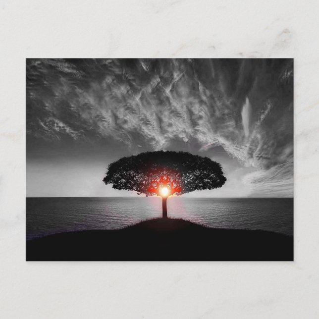 Soluppgång Vykort (Framsida)