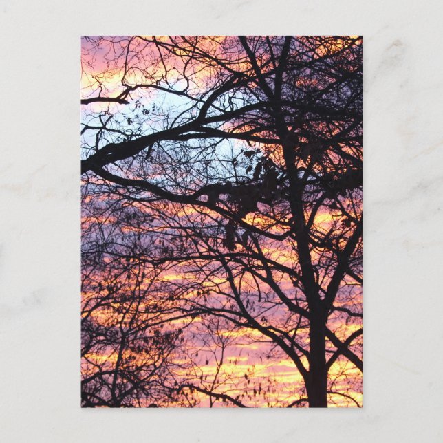 Soluppgång Vykort (Framsida)