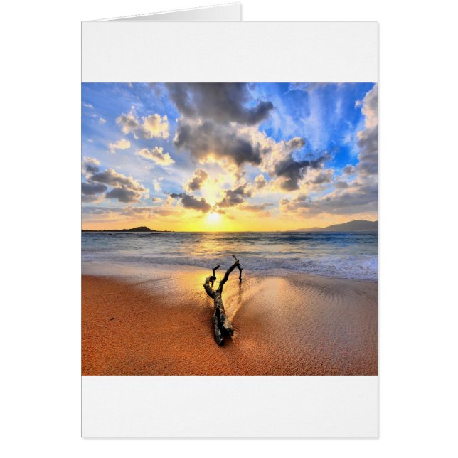 SoluppgångDriftwoodstrand Hälsningskort (Framsidan)