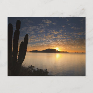 Soluppgången över Isla Danzante i Bukt Vykort